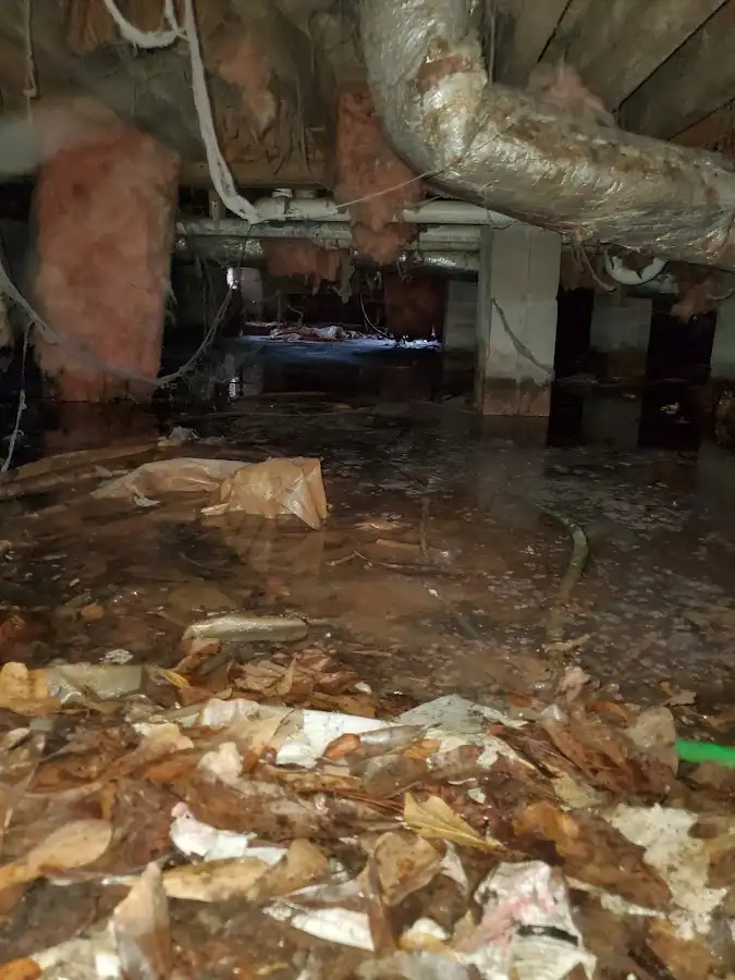 Crawl space flood assessment for Leak Detection & Repair in Luling